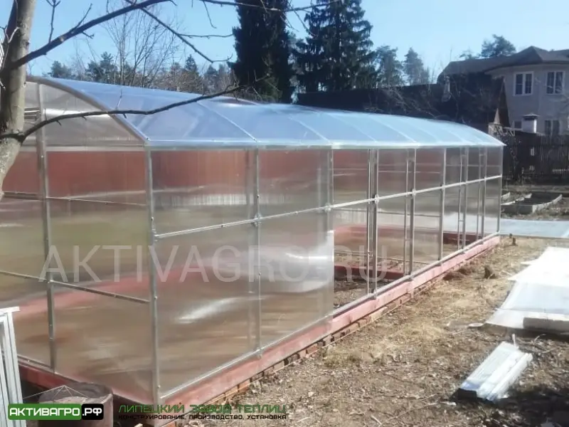 Теплица Ударница Благодатная, ширина 3/3.5 м, труба 40х20 + 20х20 Теплица Ударница Благодатная, ширина 3/3.5 м, труба 40х20 + 20х20