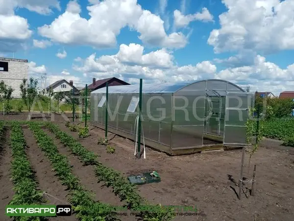 Теплица Ударница Благодатная, ширина 3/3.5 м, труба 40х20 + 20х20 Теплица Ударница Благодатная, ширина 3/3.5 м, труба 40х20 + 20х20
