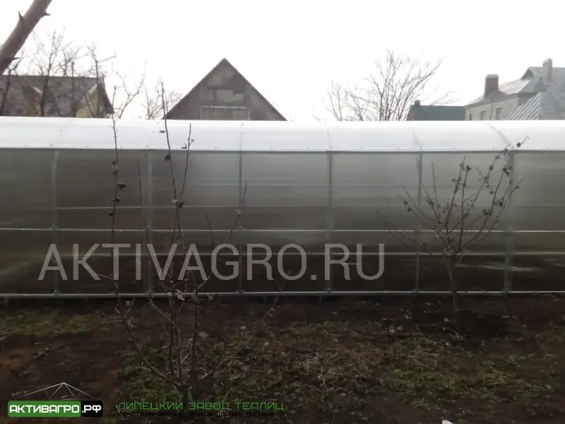 Теплица Ударница Благодатная, ширина 2.5 м, труба 40х20 Теплица Ударница Благодатная, ширина 2.5 м, труба 40х20