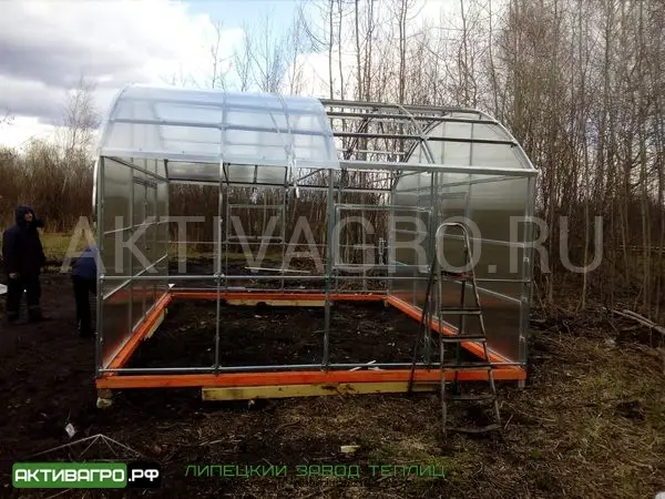 Теплица Ударница Благодатная, ширина 4/5 м, труба 40х20 + 20х20 Теплица Ударница Благодатная, ширина 4/5 м, труба 40х20 + 20х20