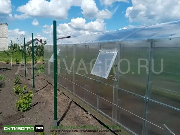 Теплица Ударница Благодатная, ширина 3/3.5 м, труба 40х20 + 20х20 Теплица Ударница Благодатная, ширина 3/3.5 м, труба 40х20 + 20х20